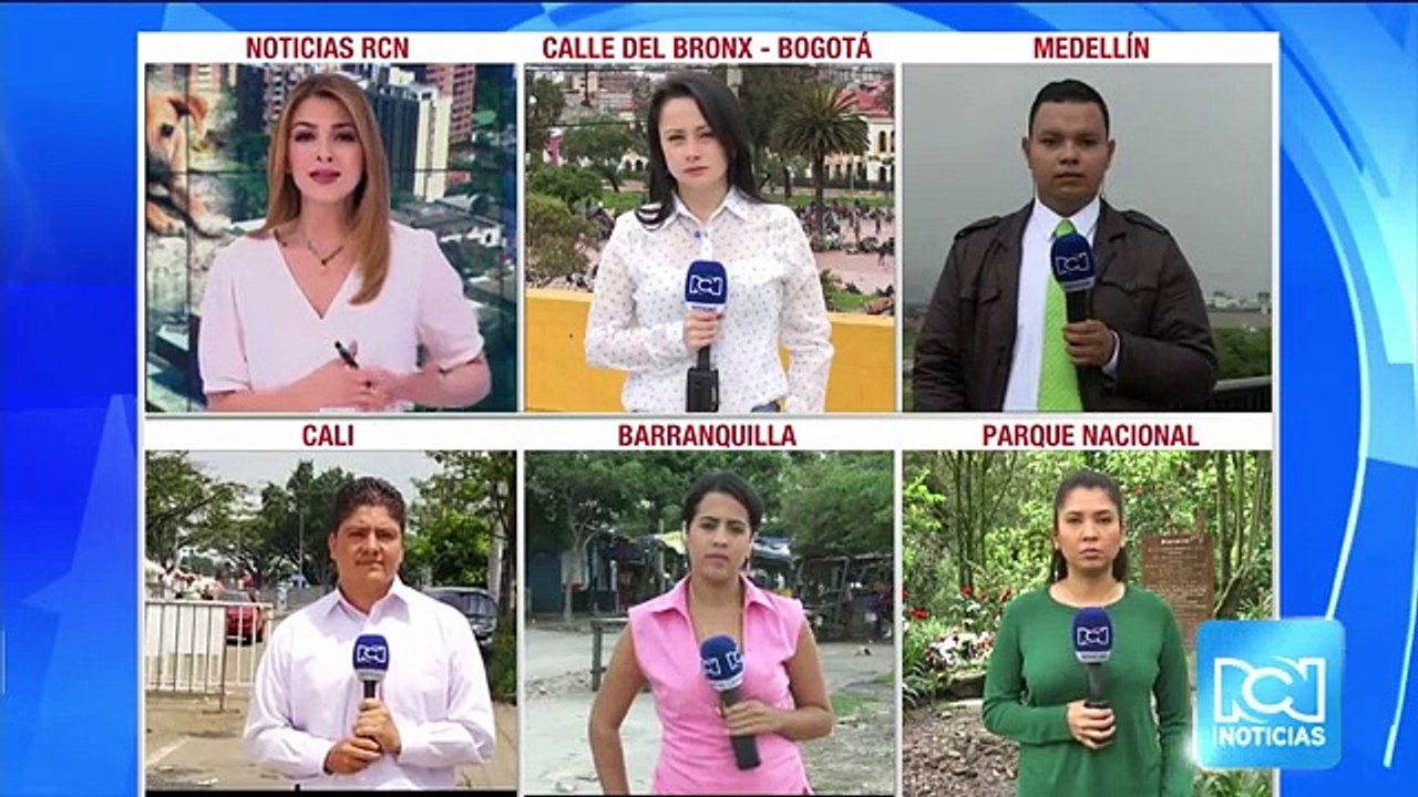 En caño de Barranquilla aparecieron los cuerpos de perros callejeros desmembrados