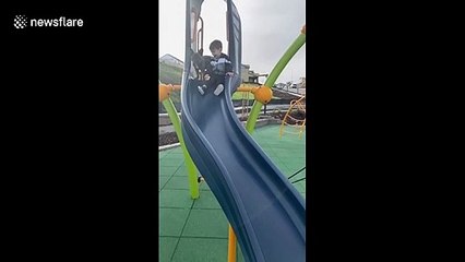 Who will win? Dog and boy compete in epic slide race in California