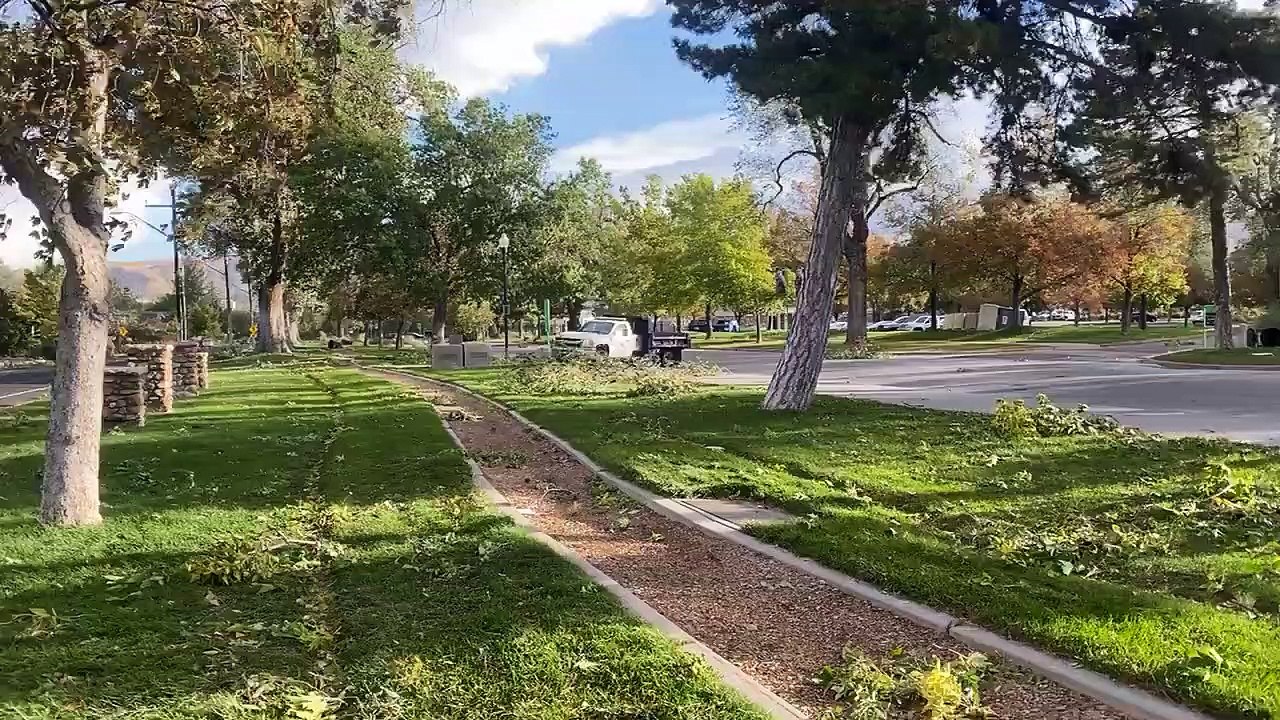 Strong Winds Knock Down Trees in Salt Lake City