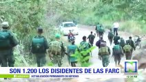 Disidentes de las Farc son 1.200 y están en ocho departamentos, según estudio de inteligencia