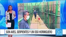 Por temor a sanciones, hay devolución masiva de animales exóticos en Bucaramanga