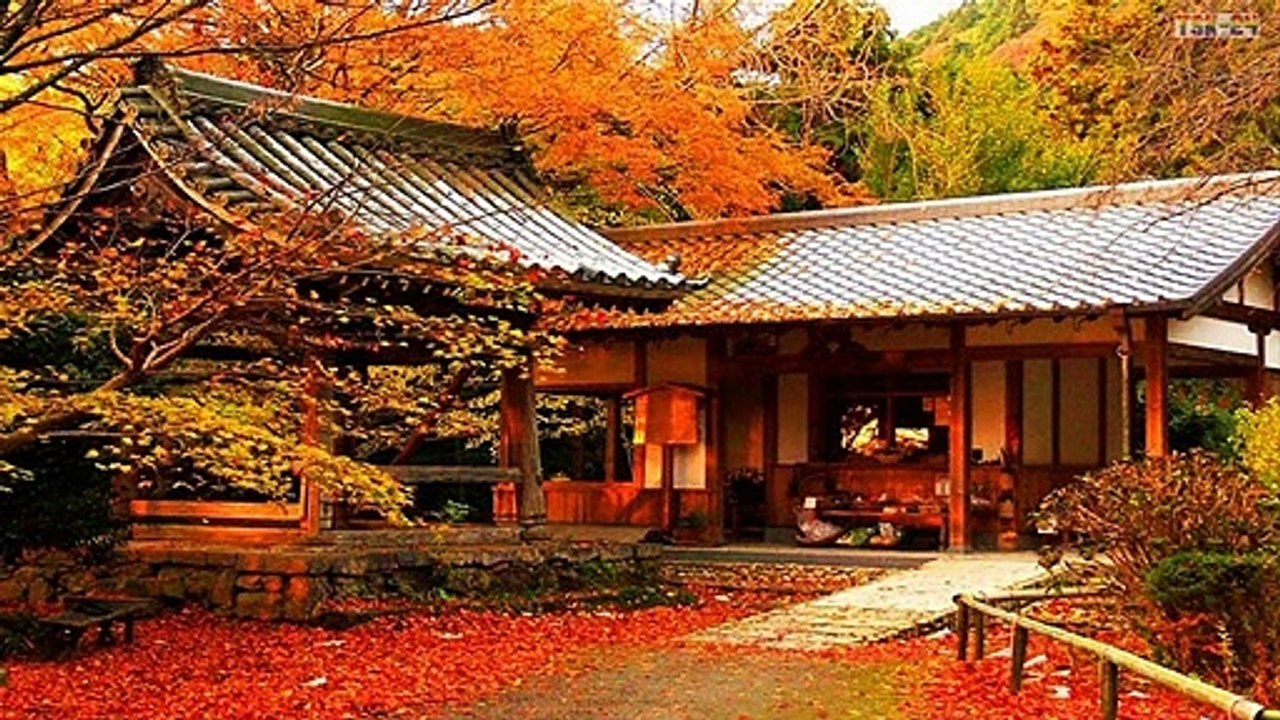 The Most Beautiful Scenery in the World - Japan