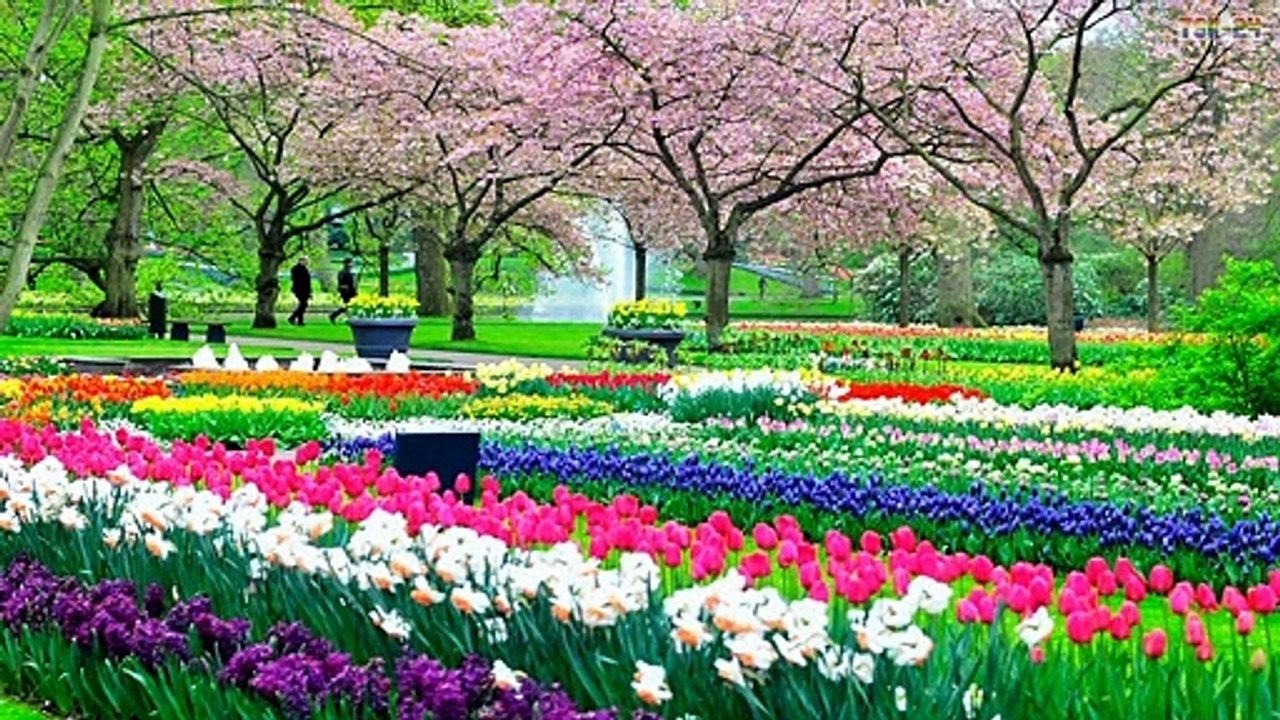 The Most Beautiful Scenery in the World