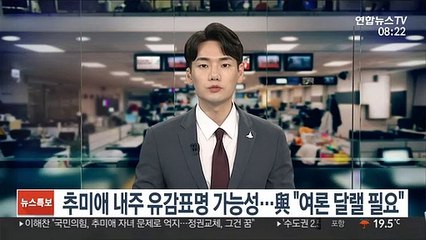 추미애 내주 유감표명 가능성…與 "여론 달랠 필요"