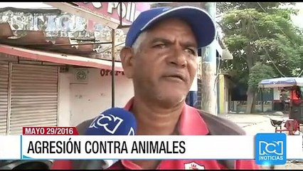 Estaban Chaves se convirtió en el subcampeón del Giro de Italia 2016