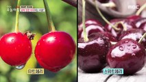 [HEALTHY] The secret to breaking ankle inflammation, 생방송 오늘 아침 20200915