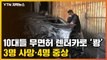 [자막뉴스] 10대들 명의 도용 렌터카로 충돌사고...3명 사망·4명 중상 / YTN