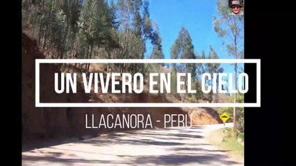 FLORES y FRUTALES  un VIVERO en el CIELO [Parte 1]