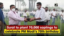 Surat to plant 70,000 saplings to celebrate PM Modi’s 70th birthday