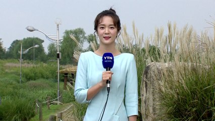 [날씨] 오늘 낮 더위· 큰 일교차...오후 영동·호남 소나기 / YTN