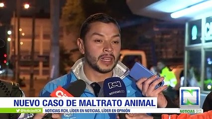 Rescatan en Bogotá a una mascota que era maltratada por su dueño