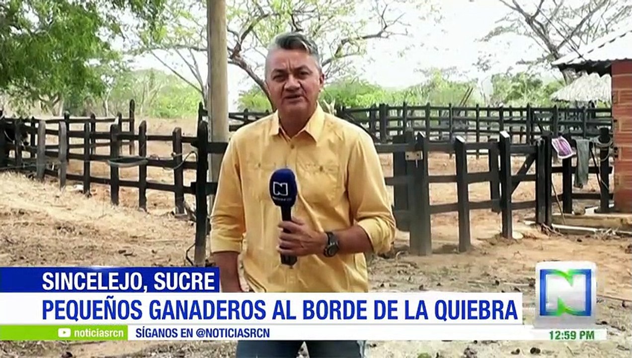 Tres mil reses muertas por fuerte sequía en Sucre