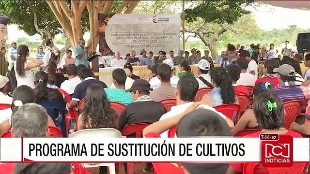 Inició en Vichada el programa de sustitución de cultivos ilícitos
