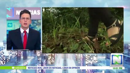 Asesinan a una líder del programa de sustitución de cultivos ilícitos en Meta