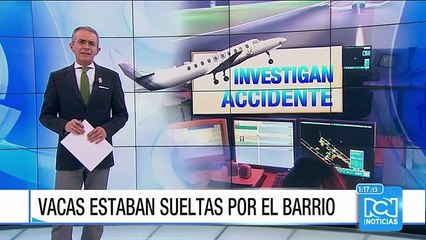 Pánico al sur de Bogotá por vacas que escaparon de un camión