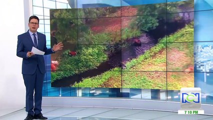 Animales: los inocentes perjudicados por contaminación con crudo en Santander