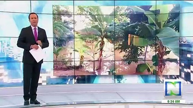 Varias familias damnificadas en los departamentos de Cauca y Arauca por ola invernal