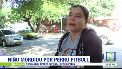 Un niño de siete años fue mordido en la cara por un pitbull en Cúcuta
