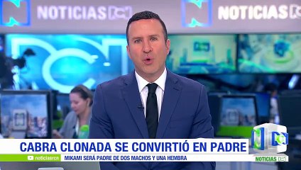 Cabra clonada se convirtió en padre