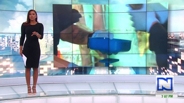 Biólogos y veterinarios trabajan por salvar animales tras contaminación con crudo en Santander