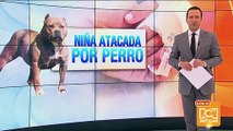Menor resultó con graves heridas al ser atacada por un perro en Bogotá