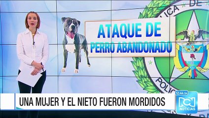 Perro pitbull abandonado mordió a un niño de 6 años