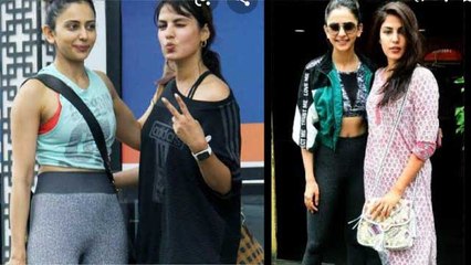 Rhea Chakraborty Took Rakul Preet Singh's Name in Drugs Connection and Drugs Consumption FilmiBeat