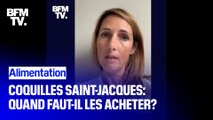 Pourquoi ne faut-il pas acheter de coquilles Saint-Jacques en ce moment?