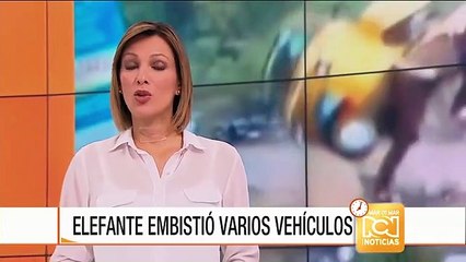 Elefante causa estragos en un festival al sur de la India