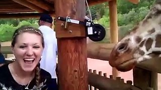 Funniest Vacation Fails - Funny Videos