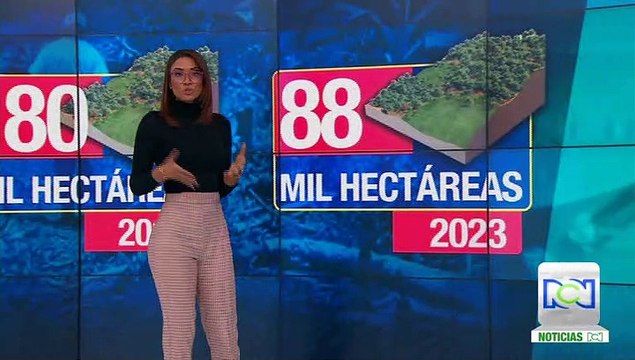 Aumenta en 30.000 el número de hectáreas de cultivos de coca en el país