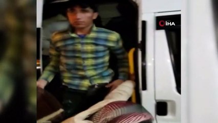 Van’da 63 kaçak göçmen yakalandı