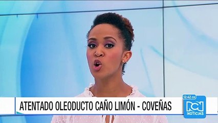 Nuevo atentado contra el oleoducto Caño Limón Coveñas