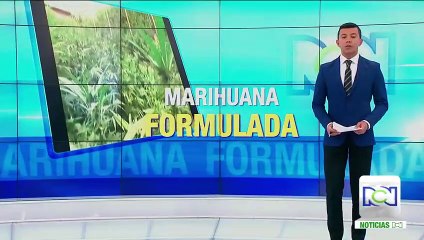 Desde 2018 pacientes que requieran cannabis medicado podrán adquirirlo en las farmacias