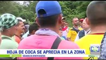 Tumaco: campesinos que siembran coca dicen que no tienen como comercializar otros productos agrícolas