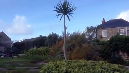 Tresco shops, Scilly