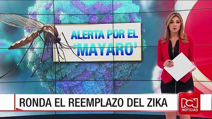 Un nuevo virus, similar al Zika o al Chikungunya, podría llegar a Colombia