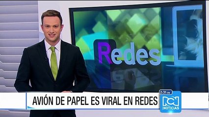 Gato aprende a aplaudir para recibir golosinas