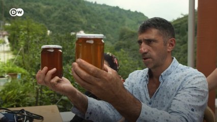 Karadeniz’de üretilen deli bal: Şifa mı, zehir mi?