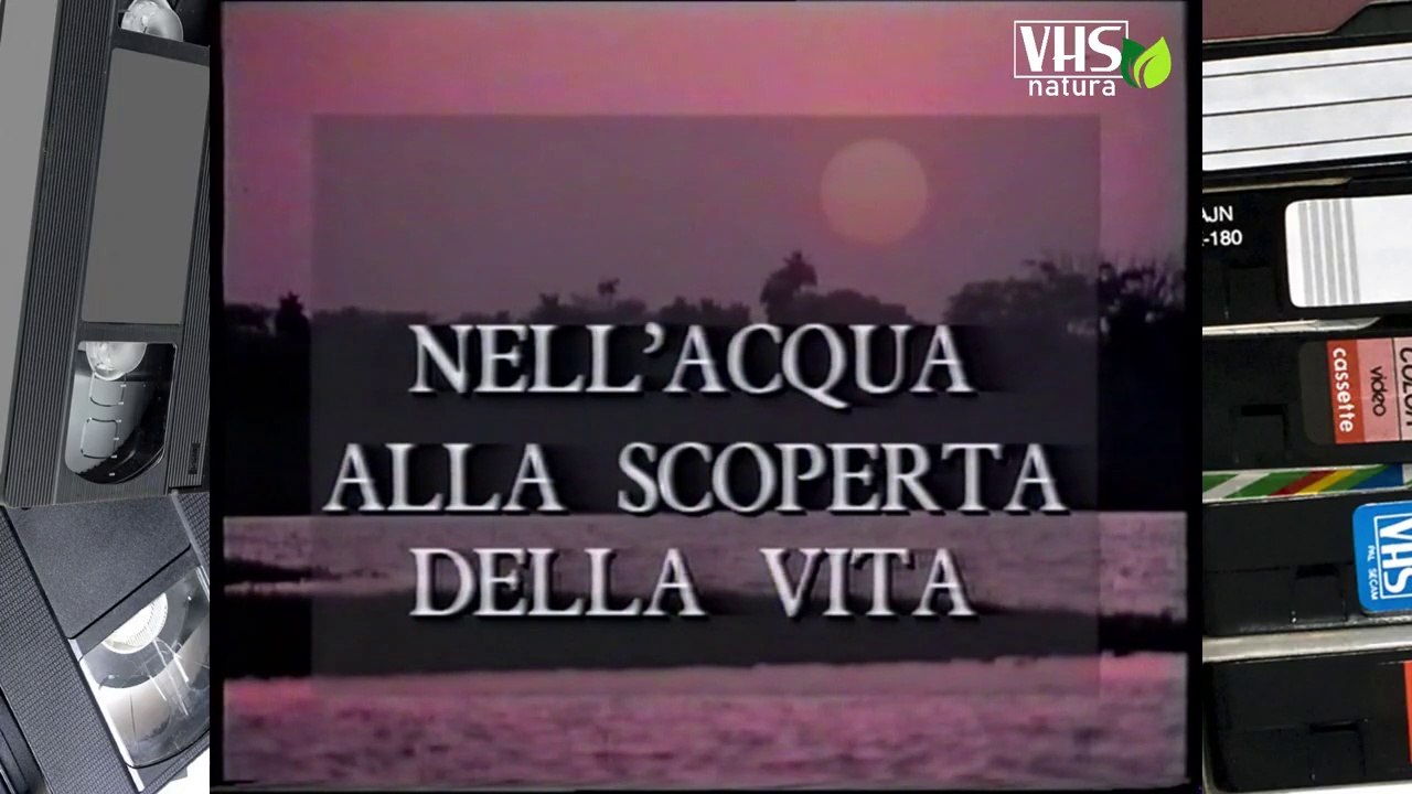 NELL' ACQUA: ALLA SCOPERTA DELLA VITA