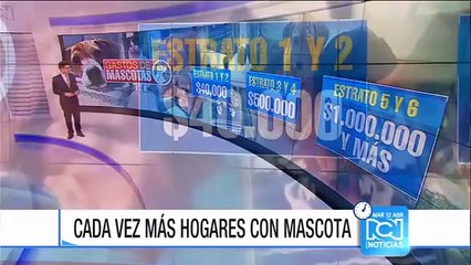 Subida del dólar también ha afectado el costo de tener una mascota