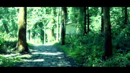 Frame blocking and Masking in kinemaster