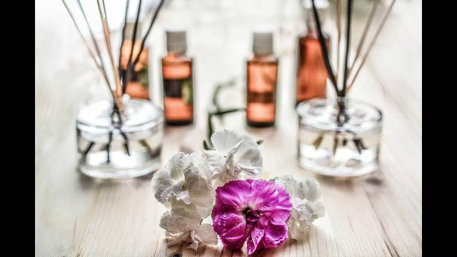 The American Housewife, Section 21: Chapter 21- Essences, Perfumery, & Cookery for the Sick