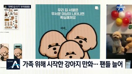 반려동물도 팬덤…강아지 만화 공유하니 팔로워 ‘껑충’