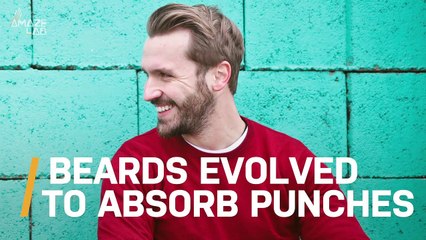 Men's Beards May Have Evolved to Do This Interesting Thing