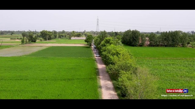 Sultan ul Ashiqeen Day | Mehfil Jashan-e-Wiladat Sultan ul Ashiqeen