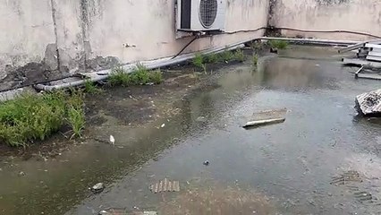 जिला अस्पताल की छतों पर जमा गंदा पानी, जिम्मेदार बेपरवाह