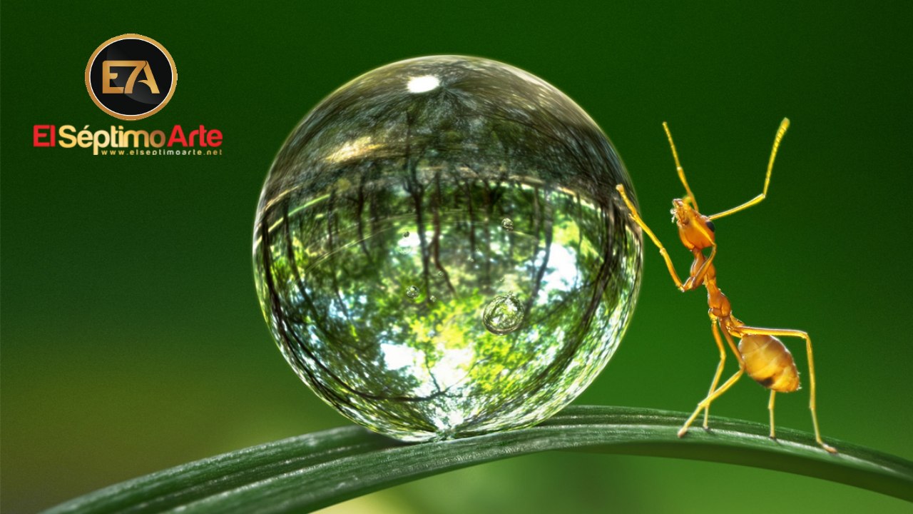 Tiny World (Apple TV+) - Tráiler V.O. (HD)