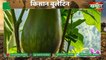 Kisan भाईयों ने विकसित की Brinjal की नई किस्म, अब देश विदेश में होगी अंधारवाड़ी के बैंगन की खेती : Kisan Bulletin : Grameen News