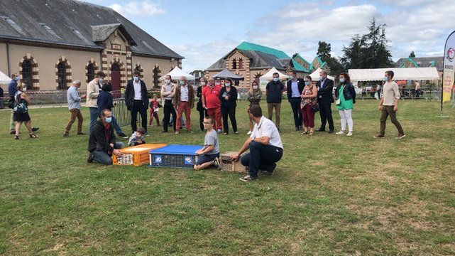 Le lâcher de pigeons lors de la rentrée des associations le 12 septembre 2020